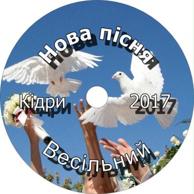 Нова пісня - Весільний Фонограми (2017)