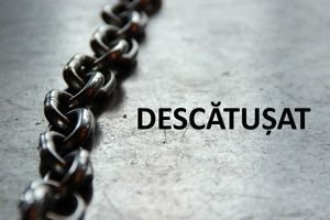 Descatusat - CD 01