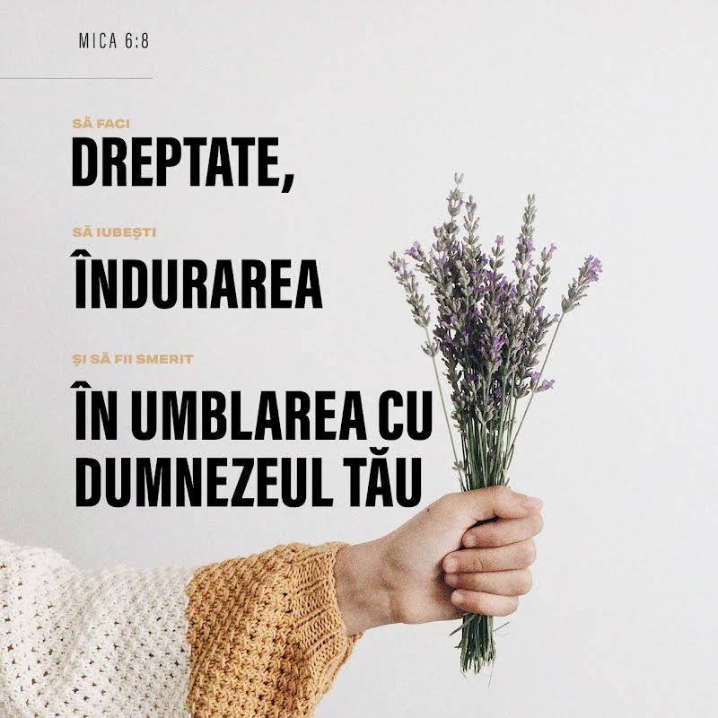 DEVOȚIONAL: Ce vrea Dumnezeu?