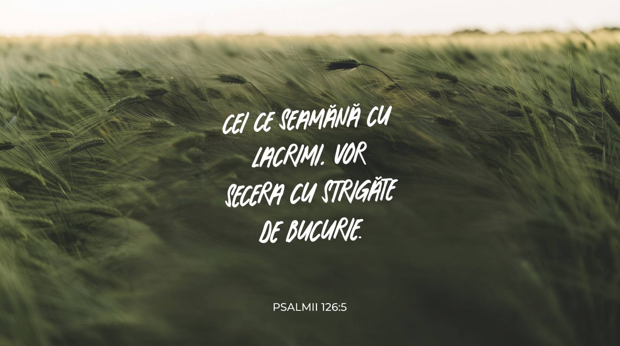 DEVOȚIONAL: Lacrimi de creștere