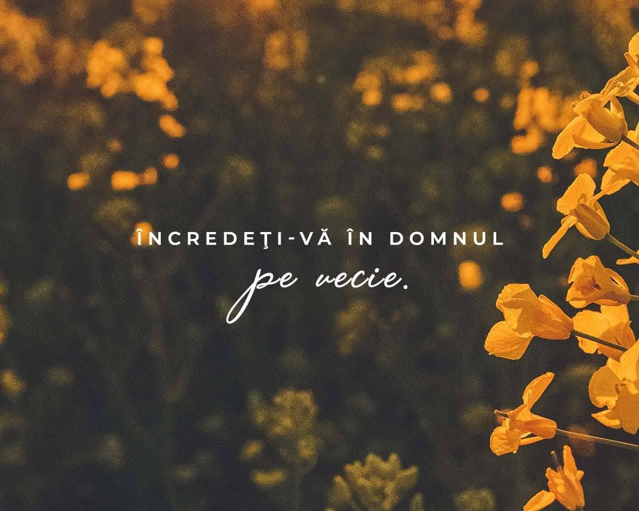 DEVOȚIONAL: În cine ai încredere?