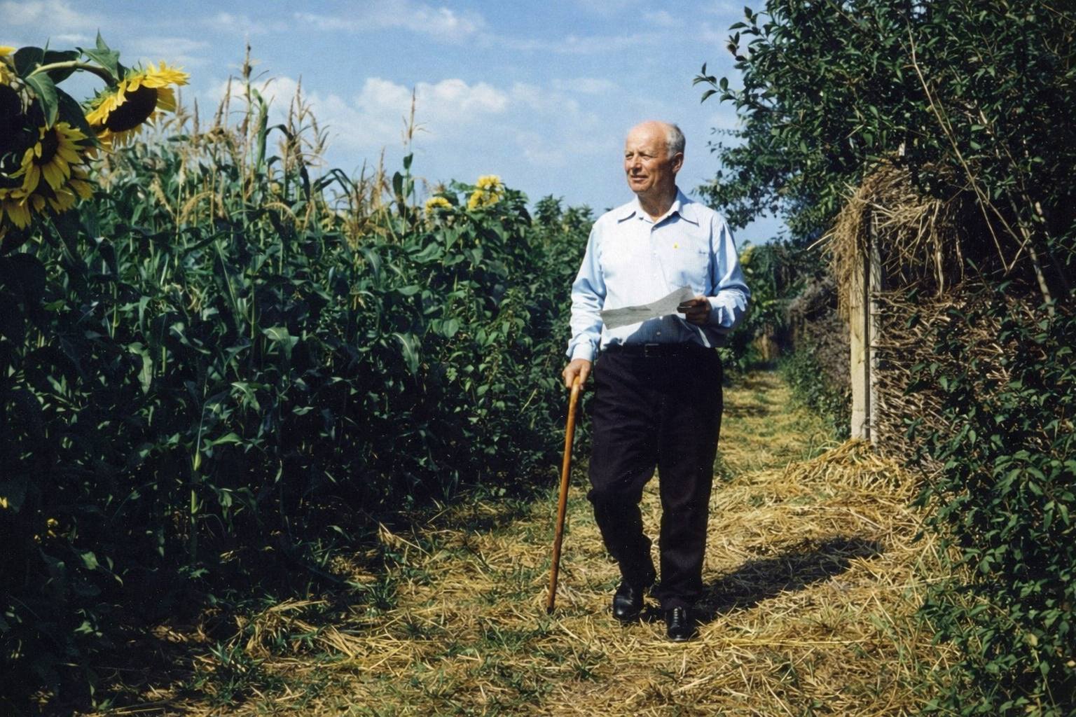 ARMONII SACRE: „De dorul Tău, Isus iubit”