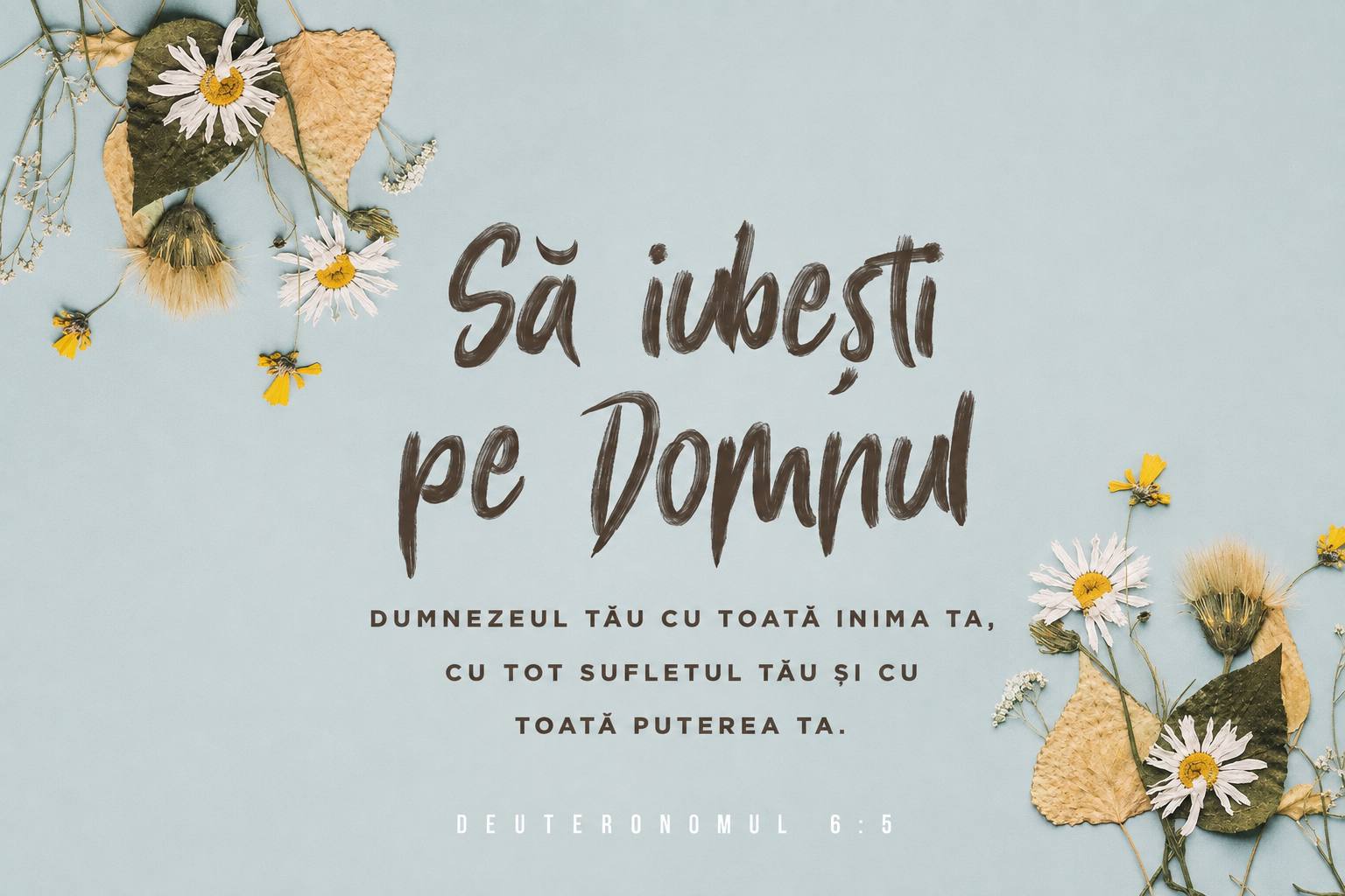 DEVOȚIONAL: Cel mai important lucru