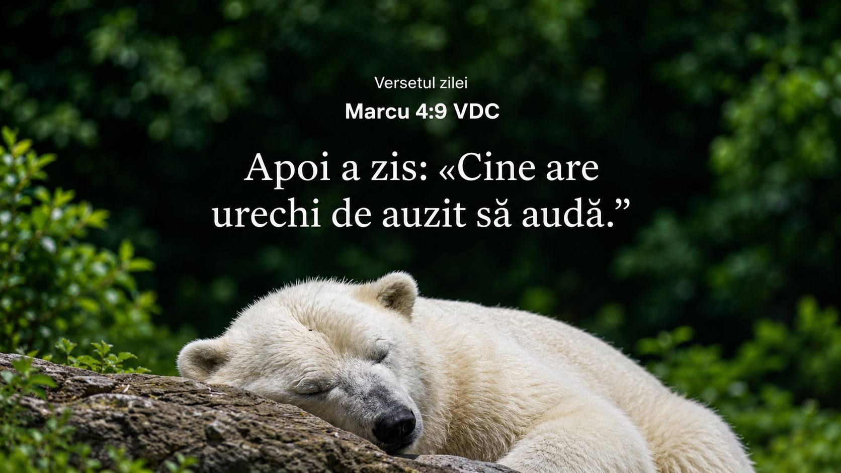 DEVOȚIONAL: A auzi vs. a asculta