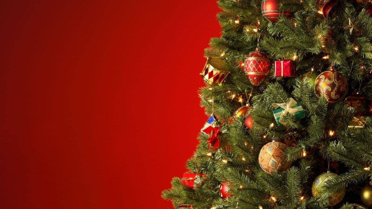 Bradul: motiv de ceartă sau prilej de bucurie?