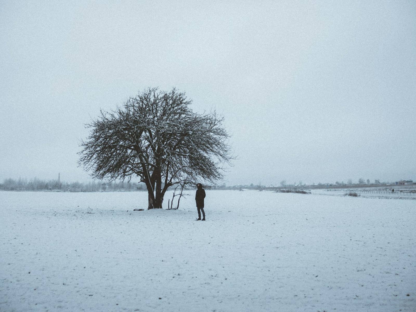 Cum să treci prin Sărbători când te apasă tristețea