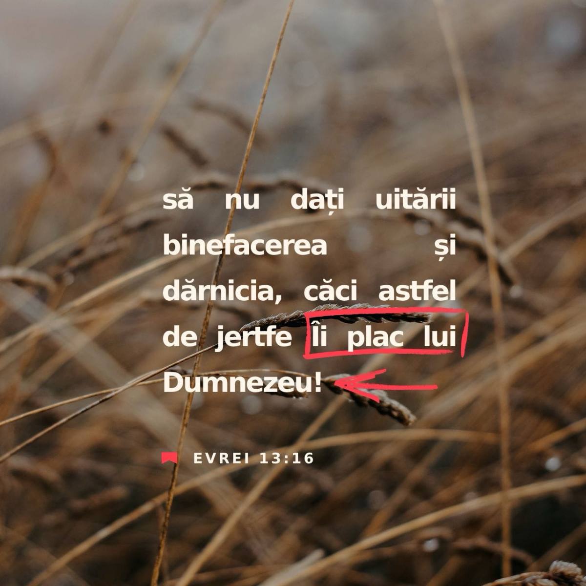 DEVOȚIONAL: O jertfă de laudă