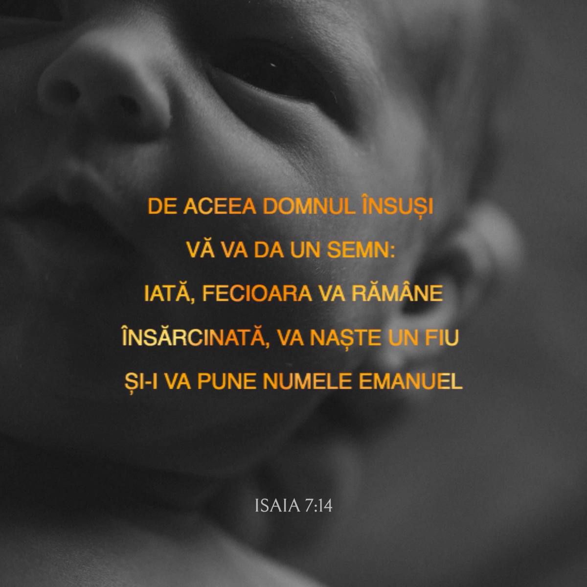 DEVOȚIONAL: Dumnezeu este cu tine